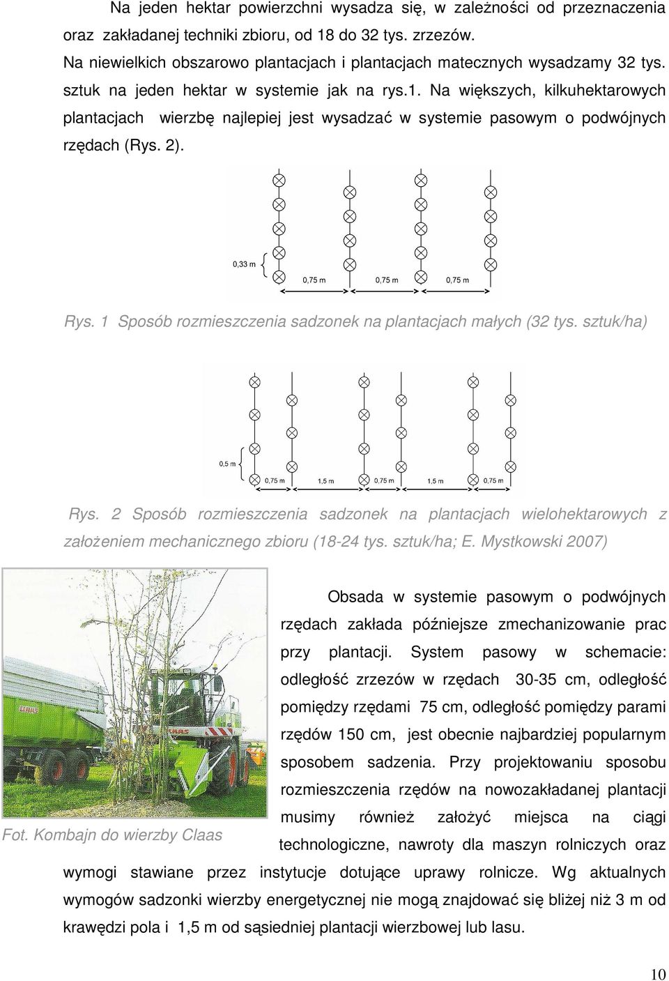 Na większych, kilkuhektarowych plantacjach wierzbę najlepiej jest wysadzać w systemie pasowym o podwójnych rzędach (Rys. 2). Rys. 1 Sposób rozmieszczenia sadzonek na plantacjach małych (32 tys.
