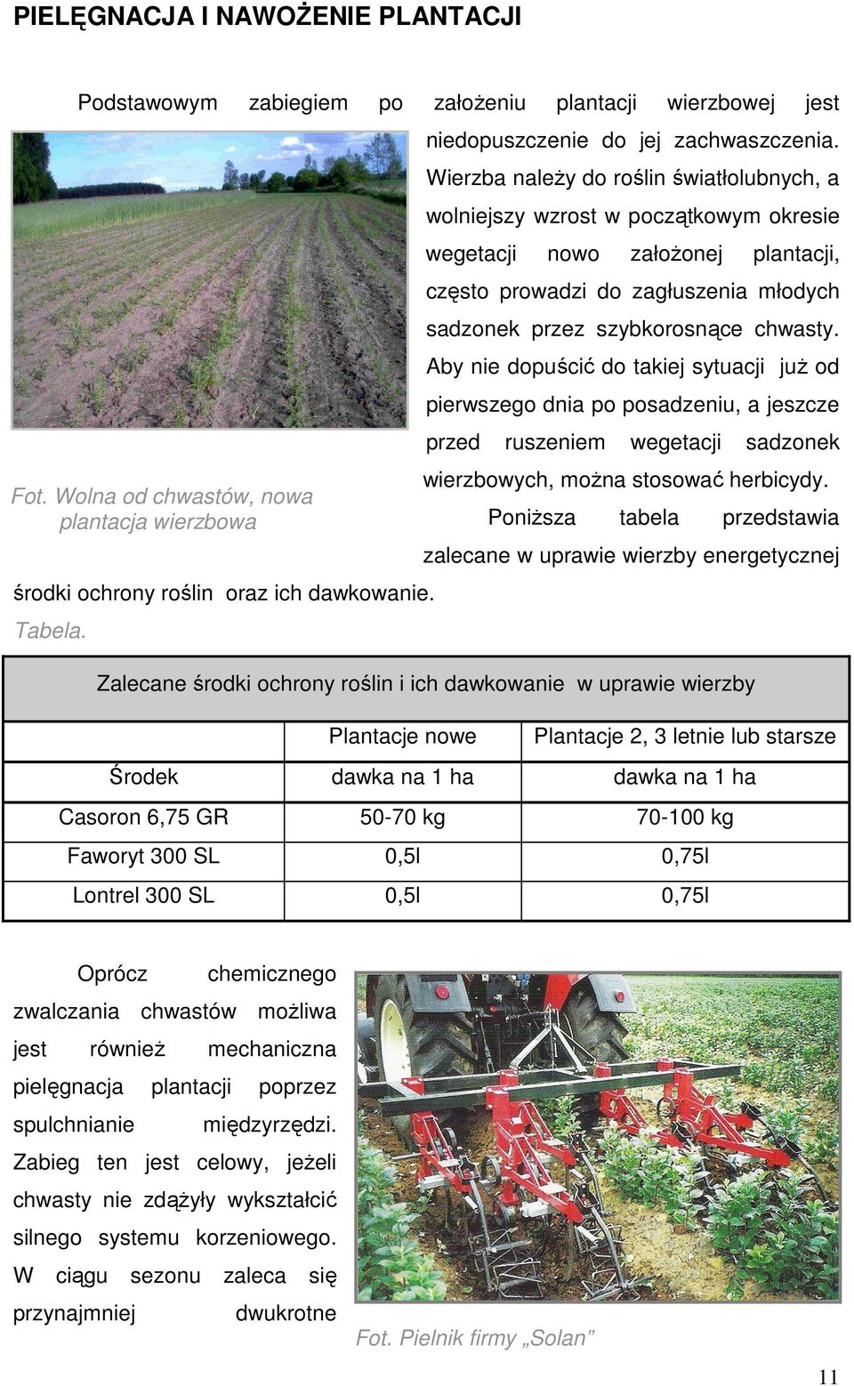 Wierzba naleŝy do roślin światłolubnych, a wolniejszy wzrost w początkowym okresie wegetacji nowo załoŝonej plantacji, często prowadzi do zagłuszenia młodych sadzonek przez szybkorosnące chwasty.