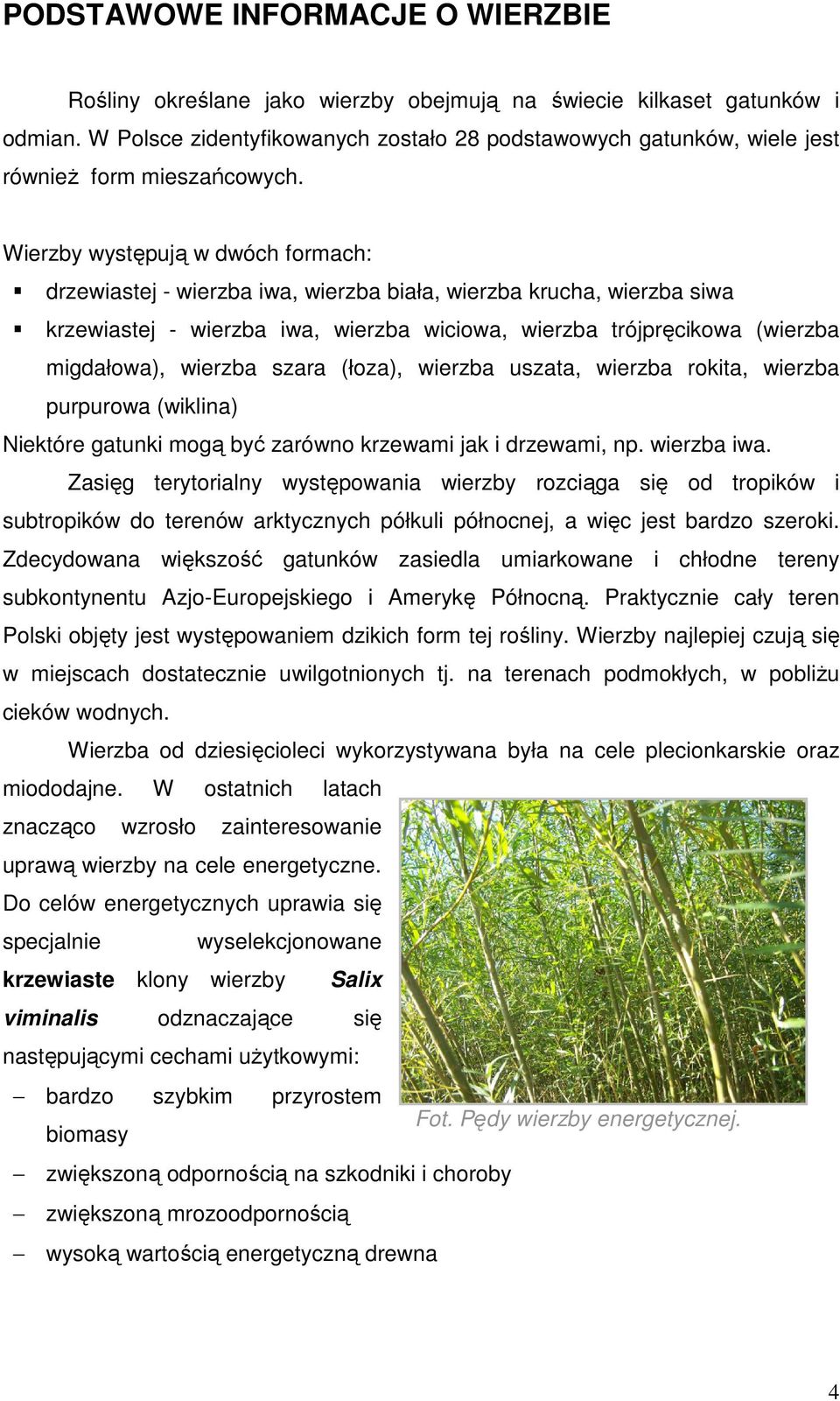 Wierzby występują w dwóch formach: drzewiastej - wierzba iwa, wierzba biała, wierzba krucha, wierzba siwa krzewiastej - wierzba iwa, wierzba wiciowa, wierzba trójpręcikowa (wierzba migdałowa),