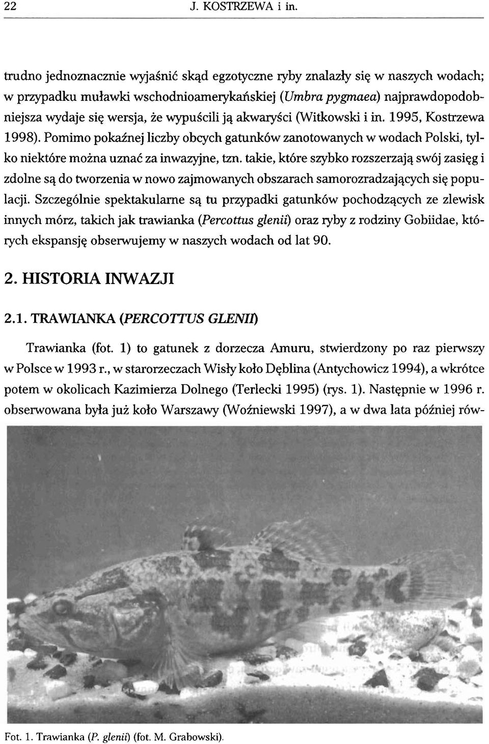 akwaryici (Witkowski i in. 1995, Kostrzewa 1998). Pomimo pokahej liczby obcych gatunk6w zanotowanych W wodach Polski, tylko niekt6re moina umac za inwazyjne, tm.