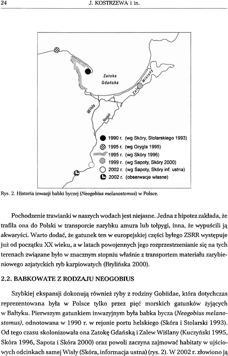 Jedna z hipotez zaldada, ze trafila ona do Polski W transporcie narybku amura lub toipygi, inna, ie wypuscili jq akwarysci.