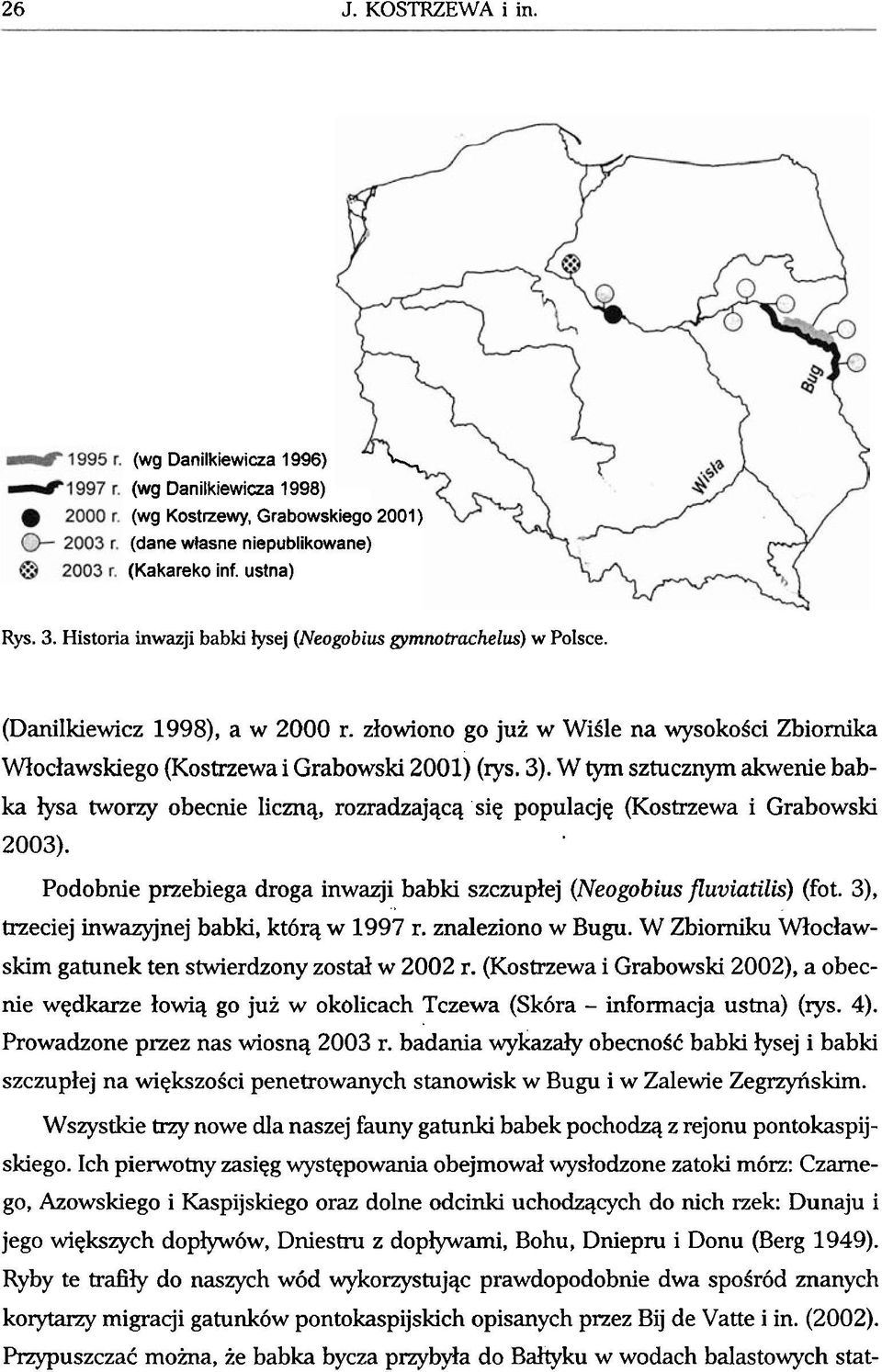 W tyrn sztucznym akwenie babka lysa tworzy obecnie licznq, rozradzajqcq siq populacj~ (Kostrzewa i Grabowski 2003). Podobnie przebiega droga inwazji babki szczuplej (Neogobius fluviatilis) (fot.