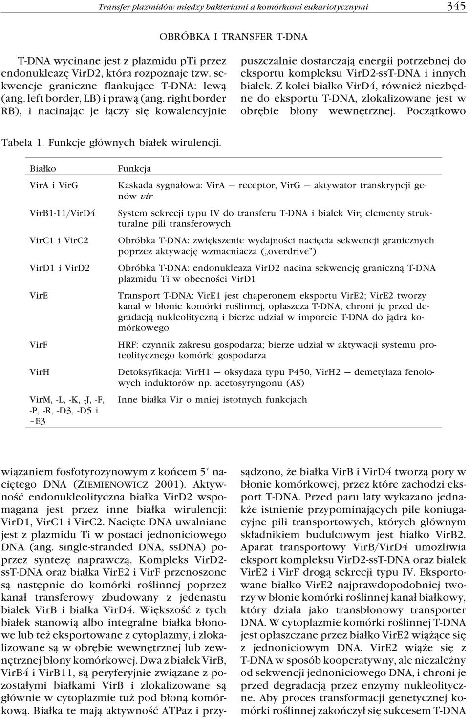 right border RB), i nacinaj¹c je ³¹czy siê kowalencyjnie wi¹zaniem fosfotyrozynowym z koñcem 5 naciêtego DNA (ZIEMIENOWICZ 2001).