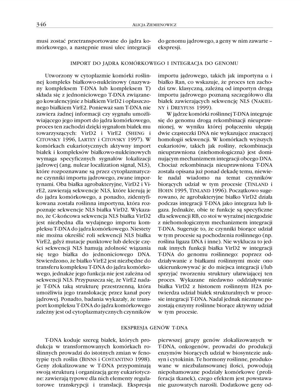 T-DNA zwi¹zanego kowalencyjnie z bia³kiem VirD2 i op³aszczonego bia³kiem VirE2.