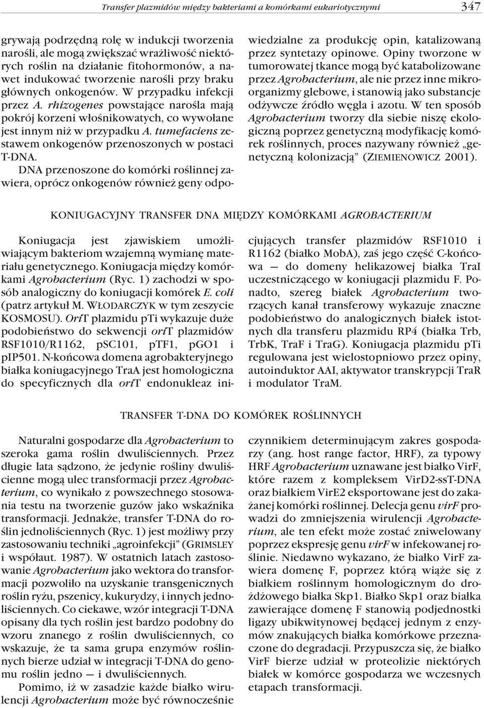 rhizogenes powstaj¹ce naroœla maj¹ pokrój korzeni w³oœnikowatych, co wywo³ane jest innym ni w przypadku A. tumefaciens zestawem onkogenów przenoszonych w postaci T-DNA.