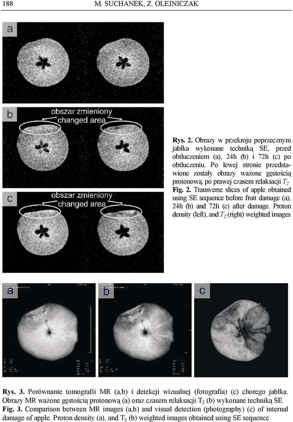 Fig. 2. Transverse slices of apple obtained using SE sequence before fruit damage (a), 24h (b) and 72h (c) after damage. Proton density (left), and T 2 (right) weighted images Rys. 3.