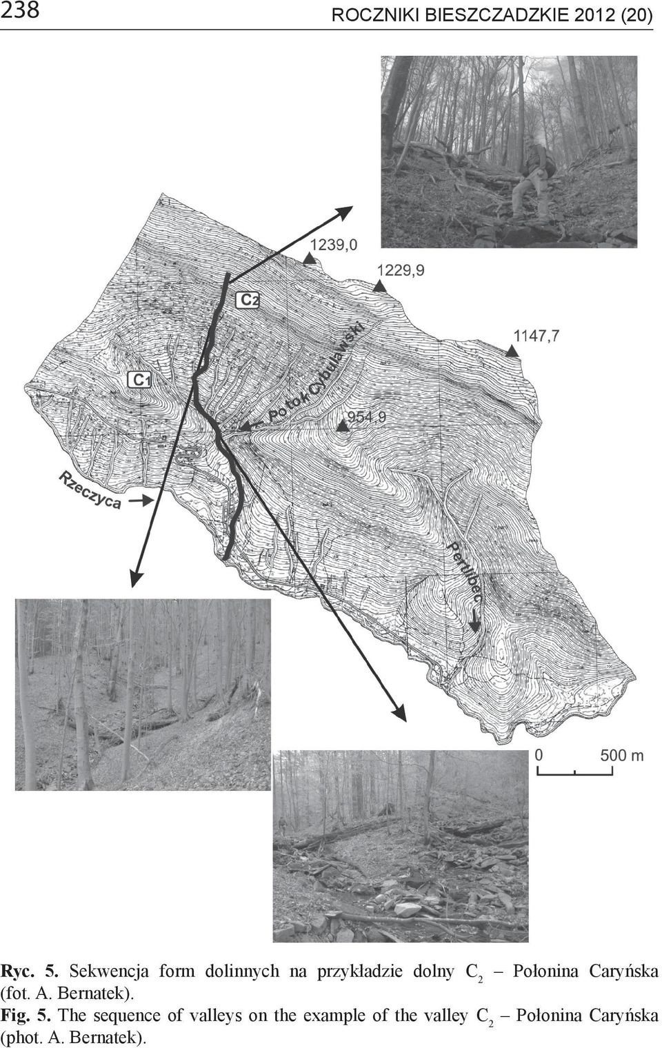 Caryńska (fot. A. Bernatek). Fig. 5.