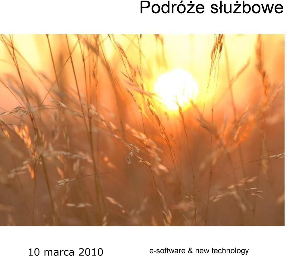 Służbowe 10