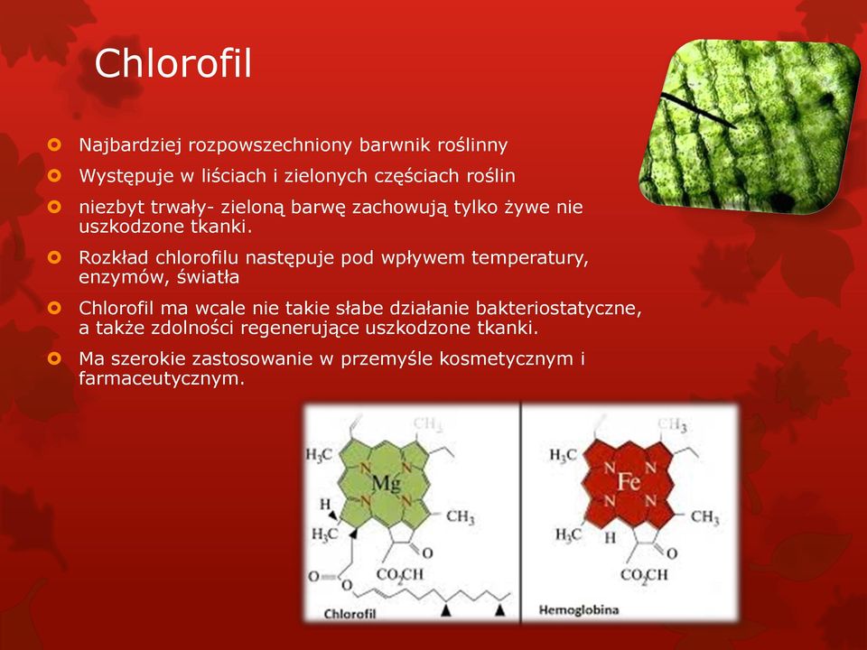 Rozkład chlorofilu następuje pod wpływem temperatury, enzymów, światła Chlorofil ma wcale nie takie słabe