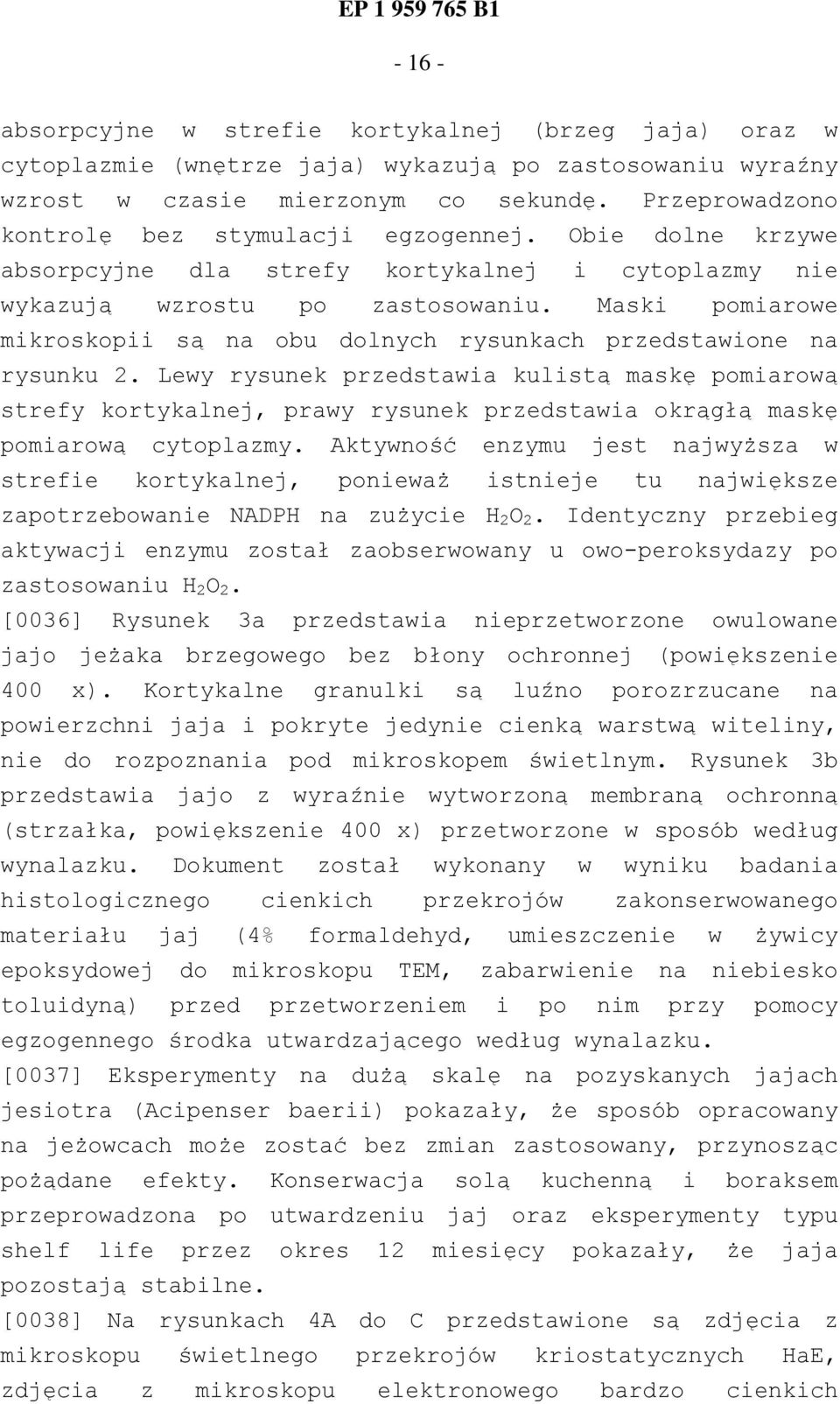 Maski pomiarowe mikroskopii są na obu dolnych rysunkach przedstawione na rysunku 2.