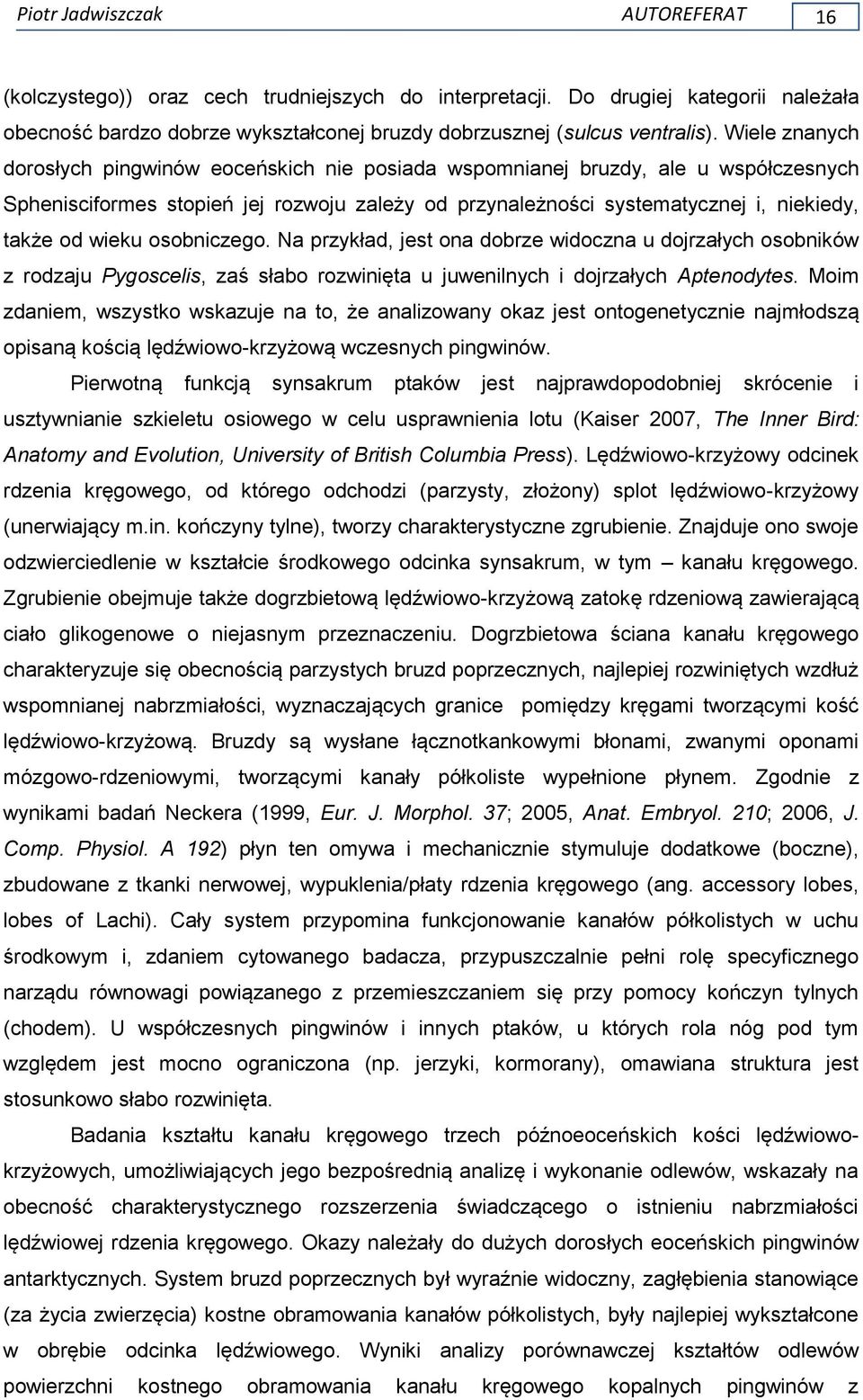wieku osobniczego. Na przykład, jest ona dobrze widoczna u dojrzałych osobników z rodzaju Pygoscelis, zaś słabo rozwinięta u juwenilnych i dojrzałych Aptenodytes.