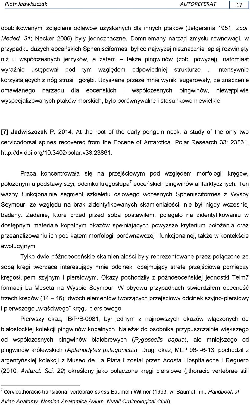 powyżej), natomiast wyraźnie ustępował pod tym względem odpowiedniej strukturze u intensywnie korzystających z nóg strusi i gołębi.