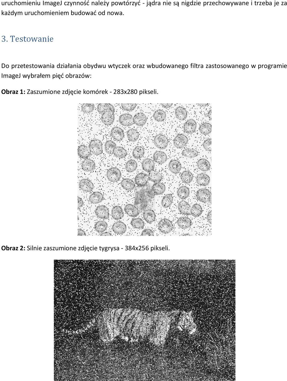 Testowanie Do przetestowania działania obydwu wtyczek oraz wbudowanego filtra zastosowanego w