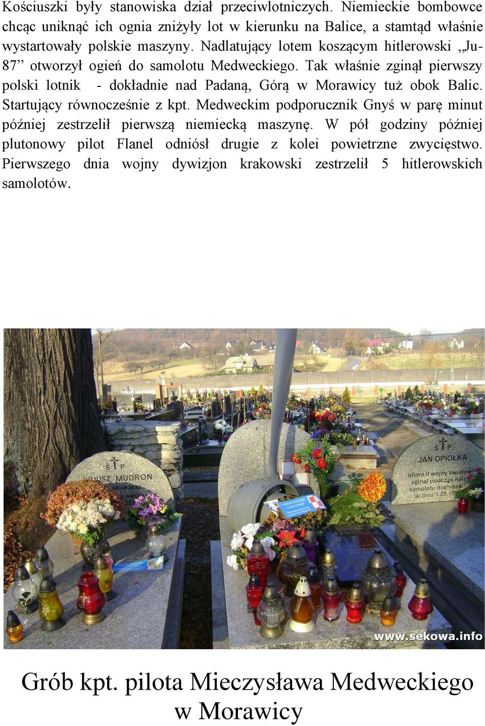 Nadlatujący lotem koszącym hitlerowski Ju- 87 otworzył ogień do samolotu Medweckiego.