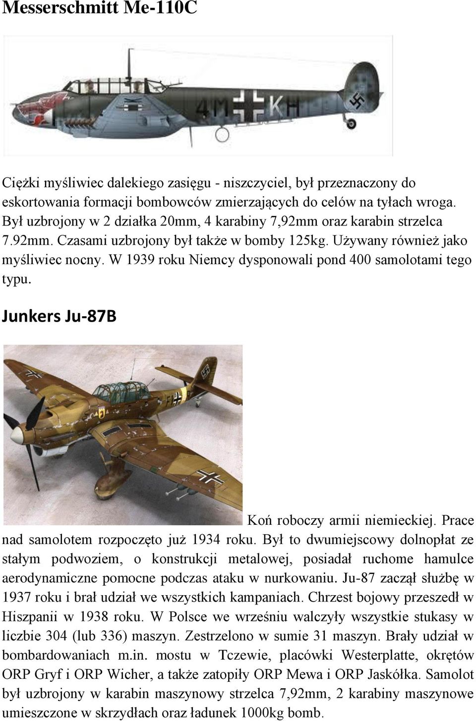 W 1939 roku Niemcy dysponowali pond 400 samolotami tego typu. Junkers Ju-87B Koń roboczy armii niemieckiej. Prace nad samolotem rozpoczęto już 1934 roku.