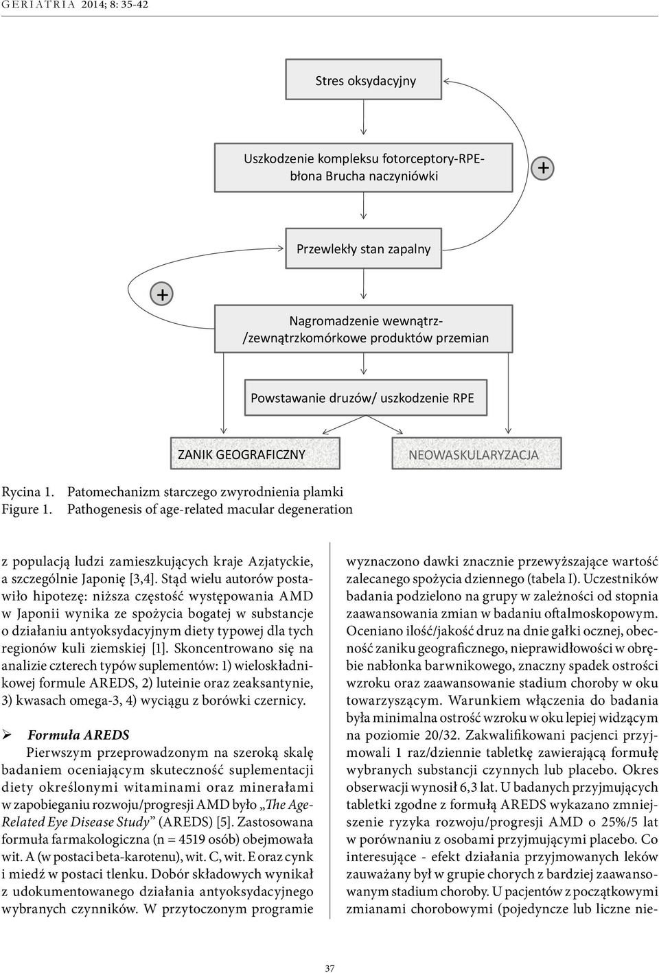 Pathogenesis of age-related macular degeneration z populacją ludzi zamieszkujących kraje Azjatyckie, a szczególnie Japonię [3,4].