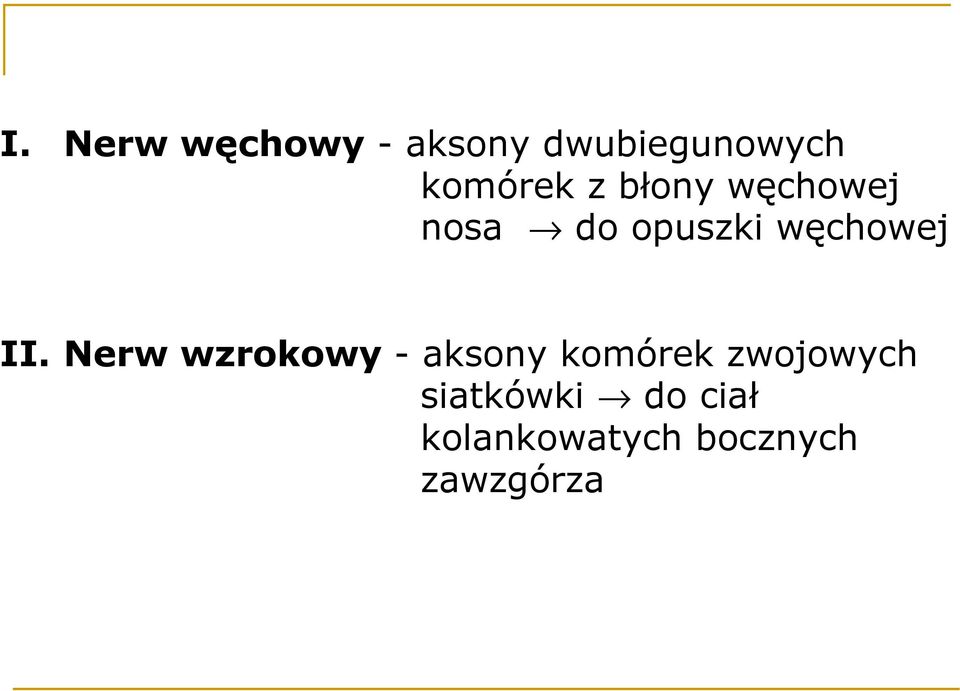 węchowej II.