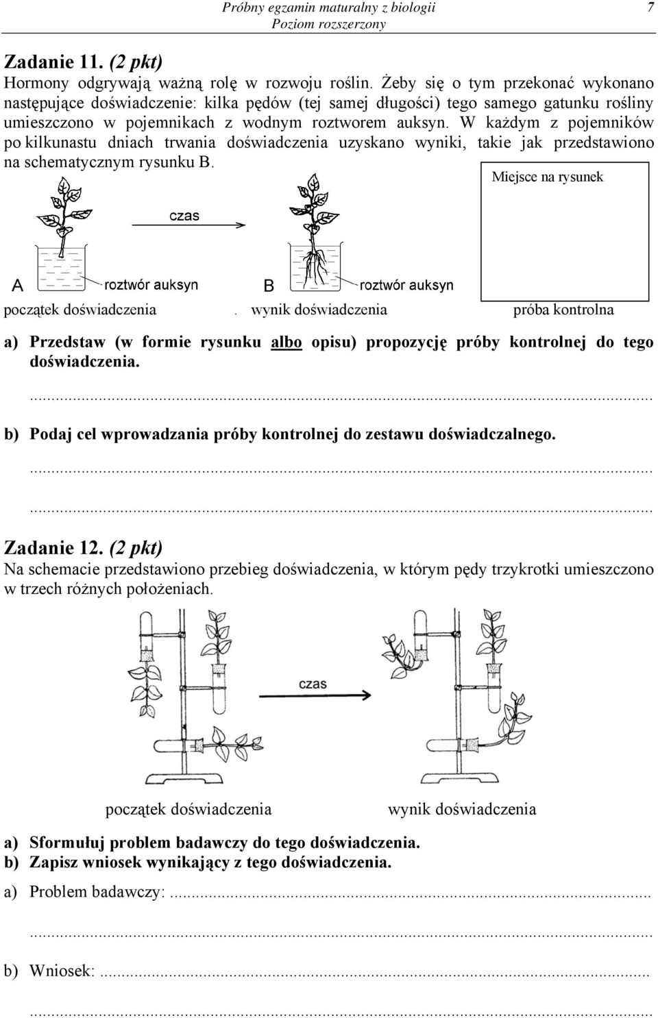 W każdym z pojemników po kilkunastu dniach trwania doświadczenia uzyskano wyniki, takie jak przedstawiono na schematycznym rysunku B.