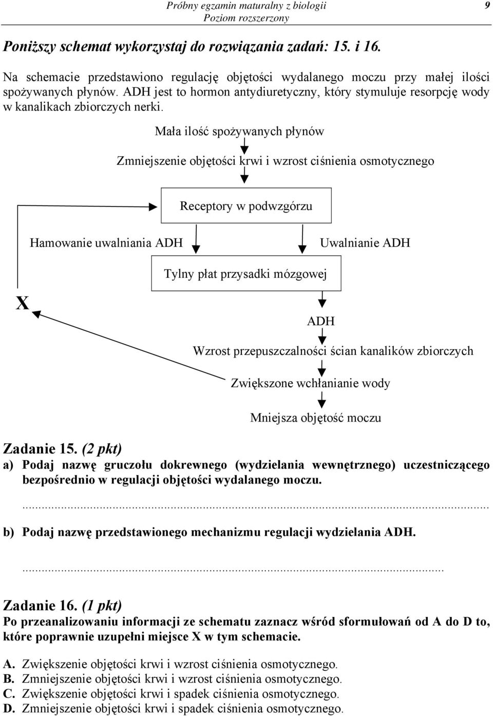 Mała ilość spożywanych płynów Zmniejszenie objętości krwi i wzrost ciśnienia osmotycznego Receptory w podwzgórzu Hamowanie uwalniania ADH Uwalnianie ADH X Tylny płat przysadki mózgowej ADH Wzrost