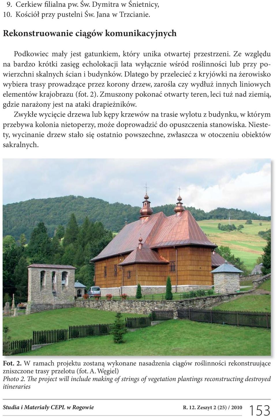 Dlatego by przelecieć z kryjówki na żerowisko wybiera trasy prowadzące przez korony drzew, zarośla czy wydłuż innych liniowych elementów krajobrazu (fot. 2).