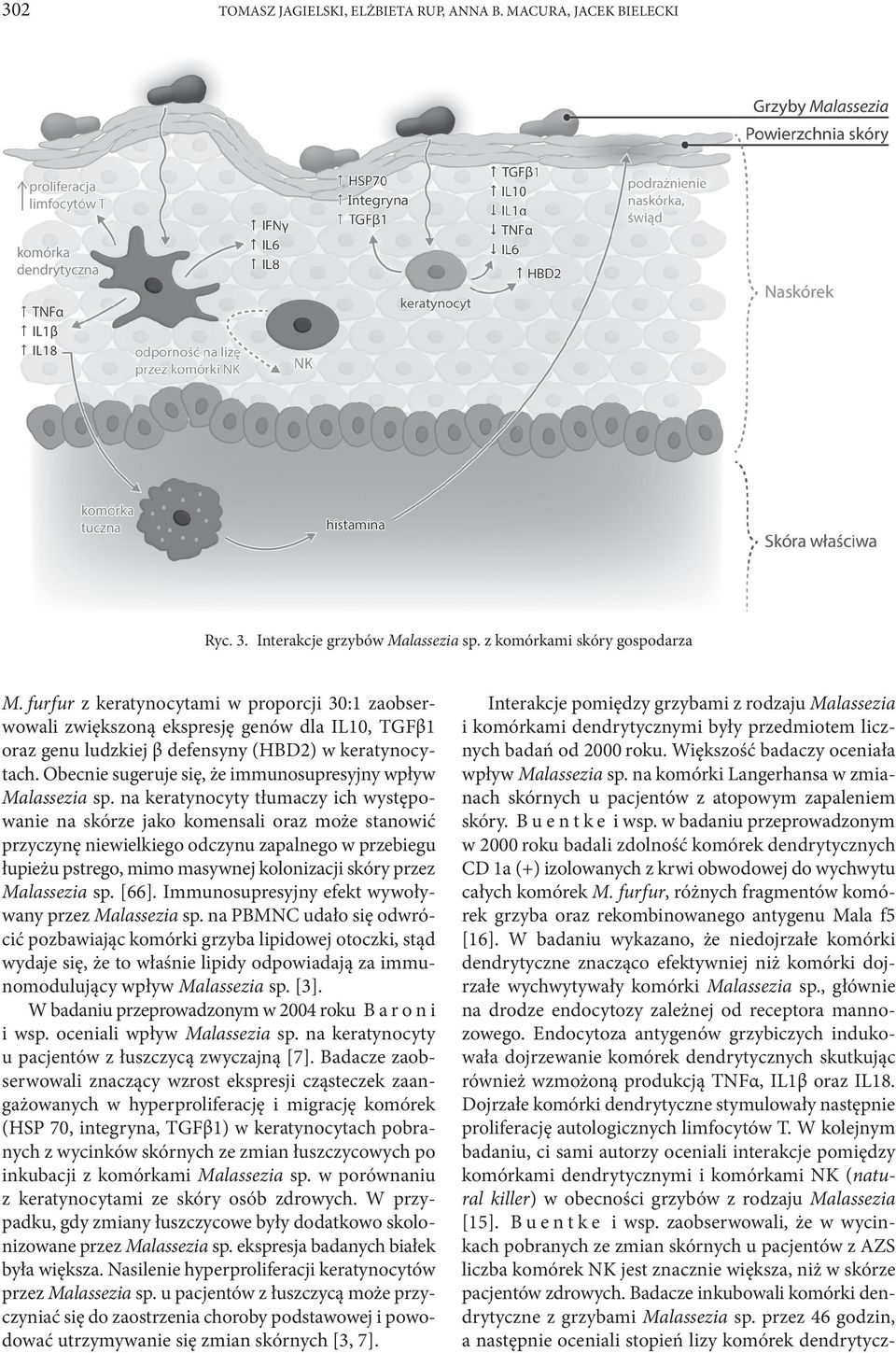 Obecnie sugeruje się, że immunosupresyjny wpływ Malassezia sp.