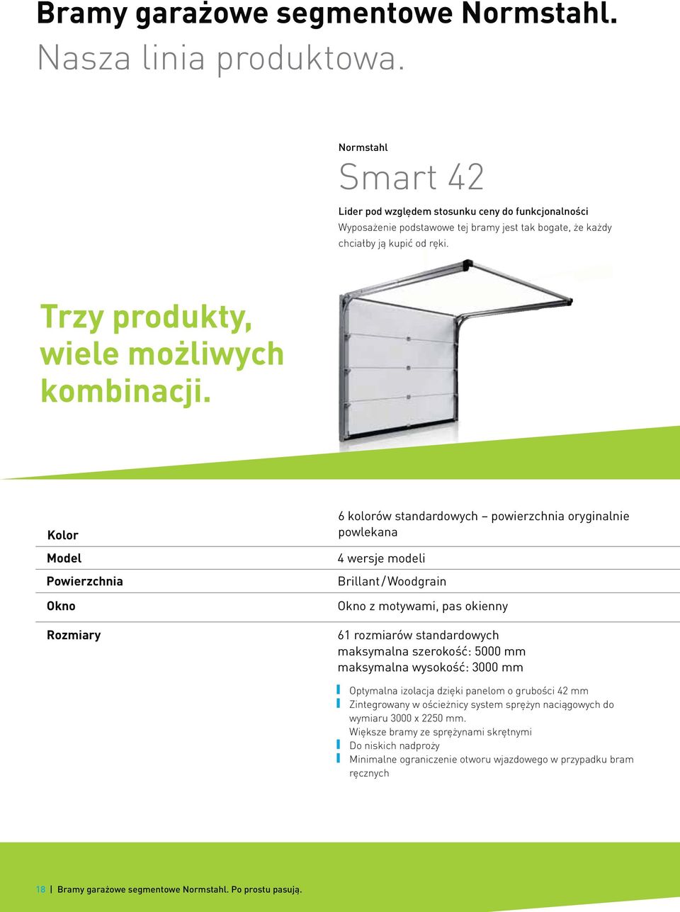 Kolor Model Powierzchnia Okno Rozmiary 6 kolorów standardowych powierzchnia oryginalnie powlekana 4 wersje modeli Brillant / Woodgrain Okno z motywami, pas okienny 61 rozmiarów standardowych