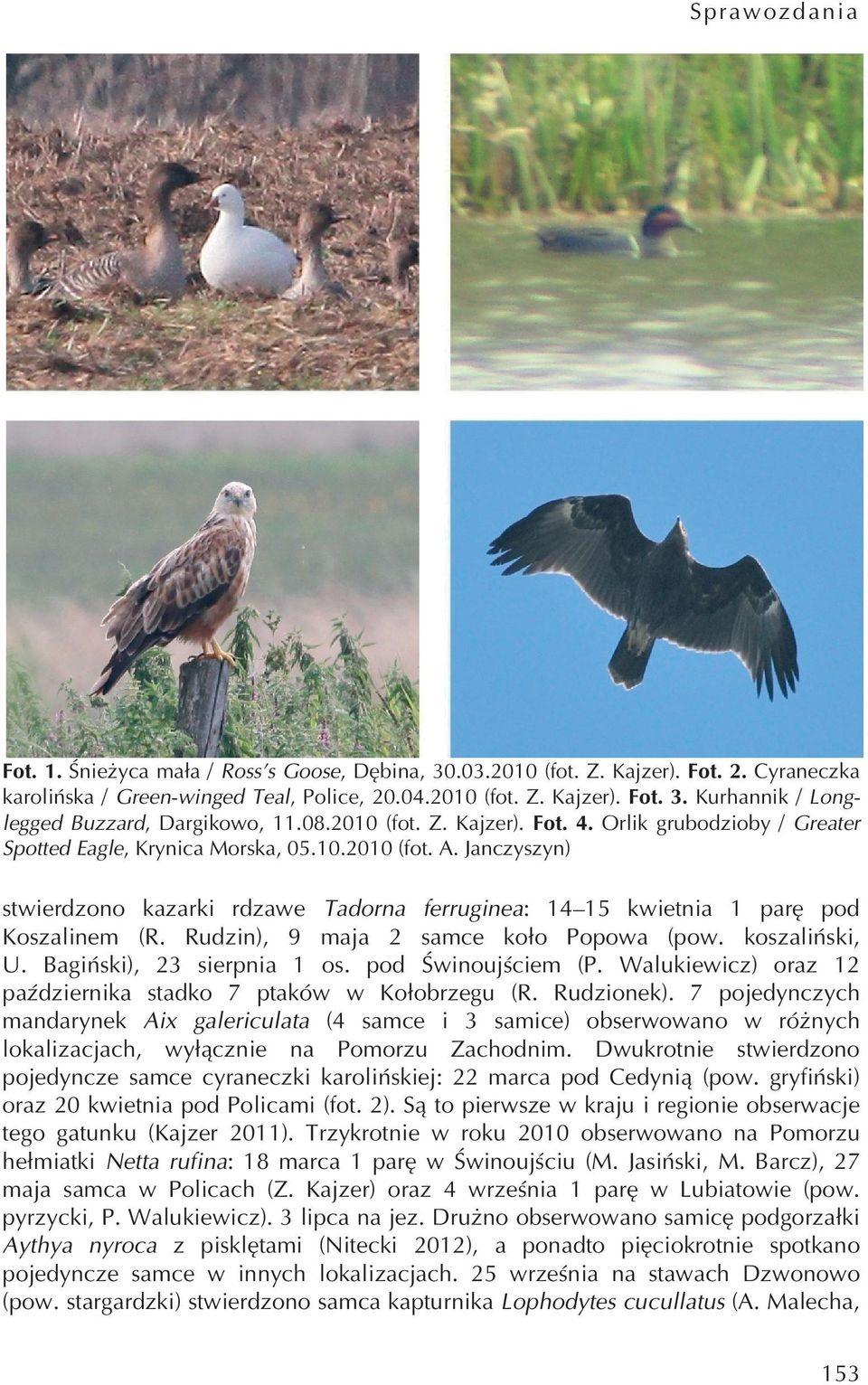 Janczyszyn) stwierdzono kazarki rdzawe Tadorna ferruginea: 14 15 kwietnia 1 parę pod Koszalinem (R. Rudzin), 9 maja 2 samce koło Popowa (pow. koszaliński, U. Bagiński), 23 sierpnia 1 os.