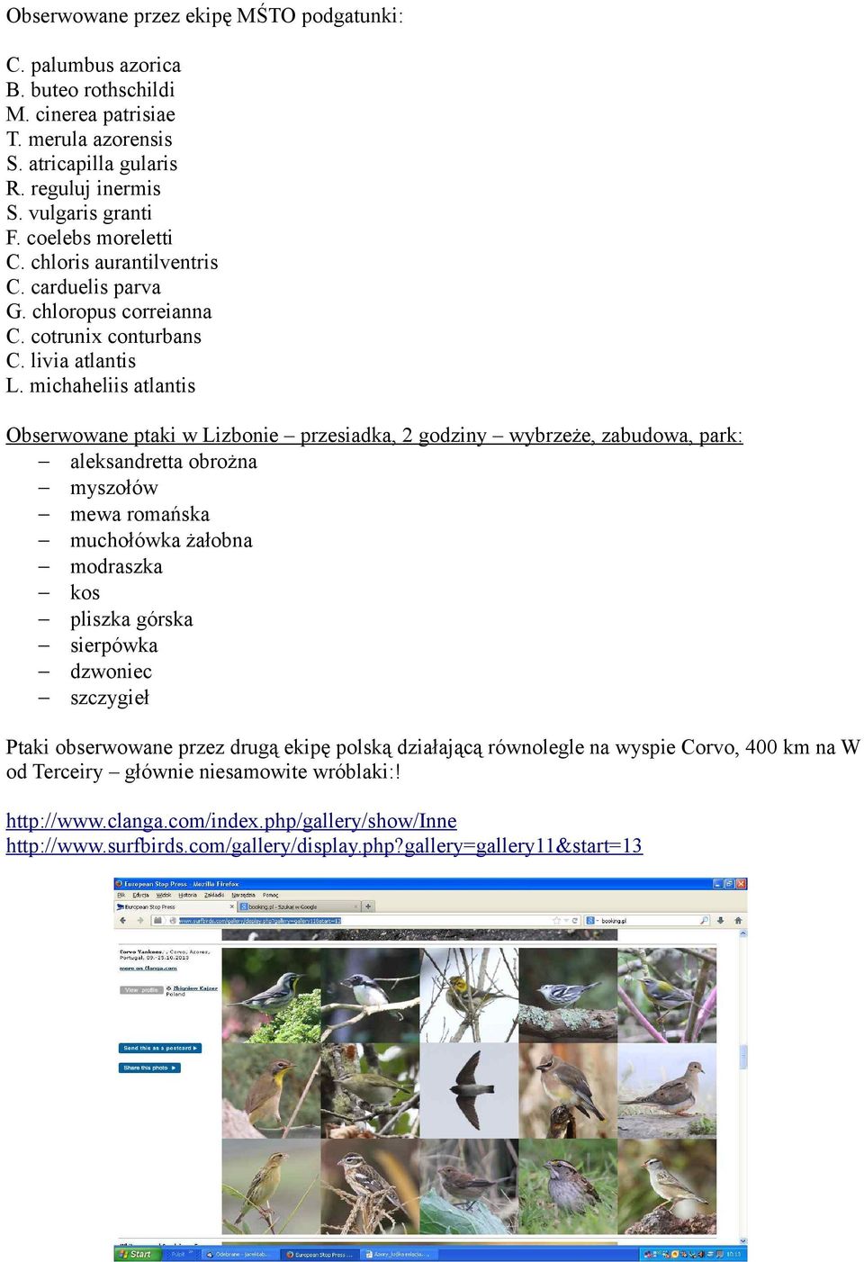 michaheliis atlantis Obserwowane ptaki w Lizbonie przesiadka, 2 godziny wybrzeże, zabudowa, park: aleksandretta obrożna myszołów mewa romańska muchołówka żałobna modraszka kos pliszka górska
