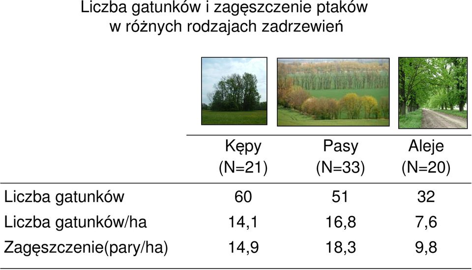 Aleje (N=20) Liczba gatunków 60 51 32 Liczba