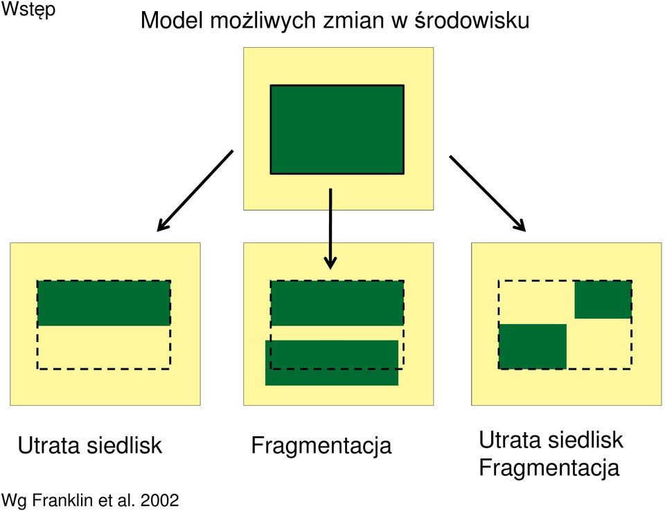 Fragmentacja Utrata siedlisk