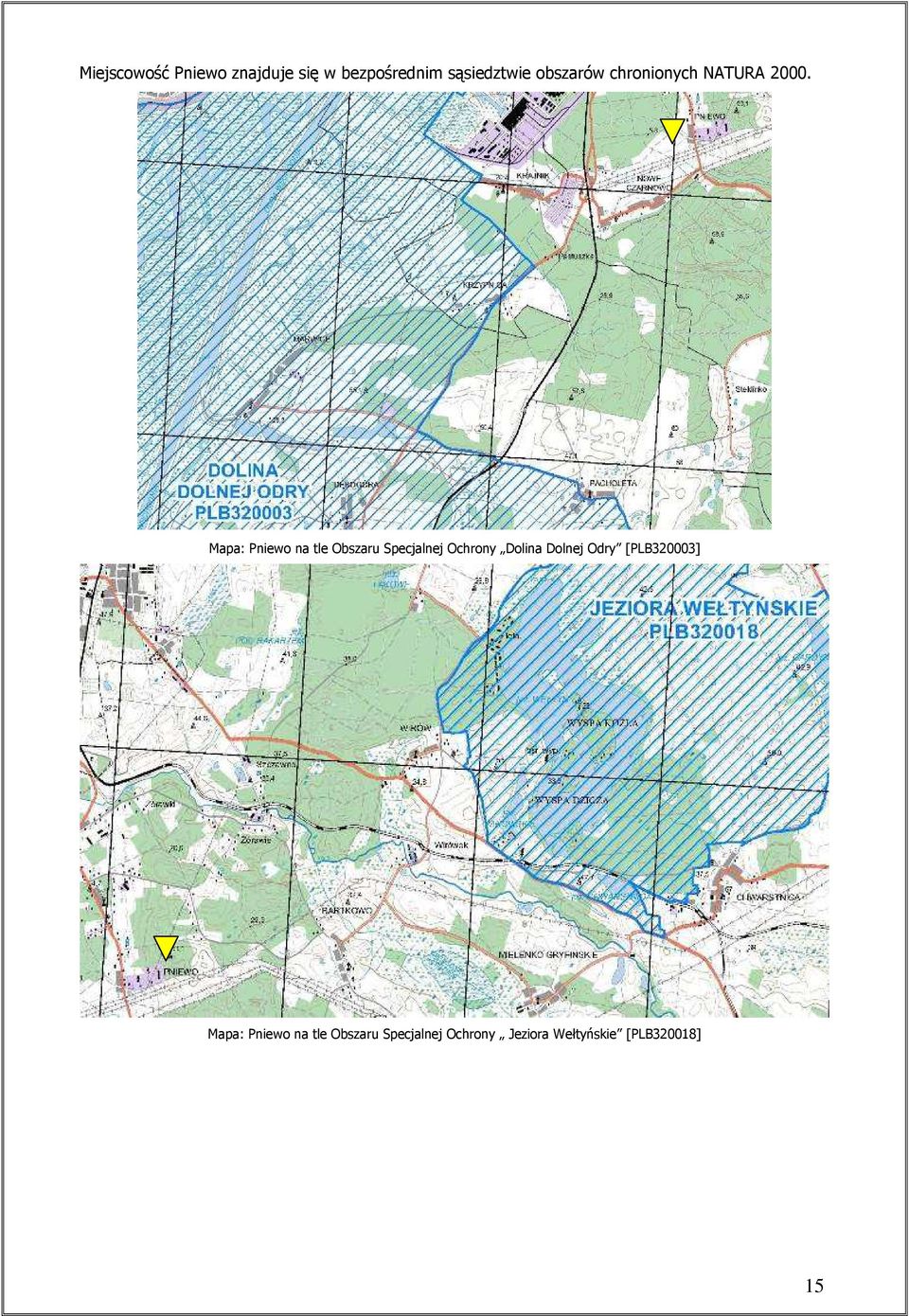 Mapa: Pniewo na tle Obszaru Specjalnej Ochrony Dolina Dolnej
