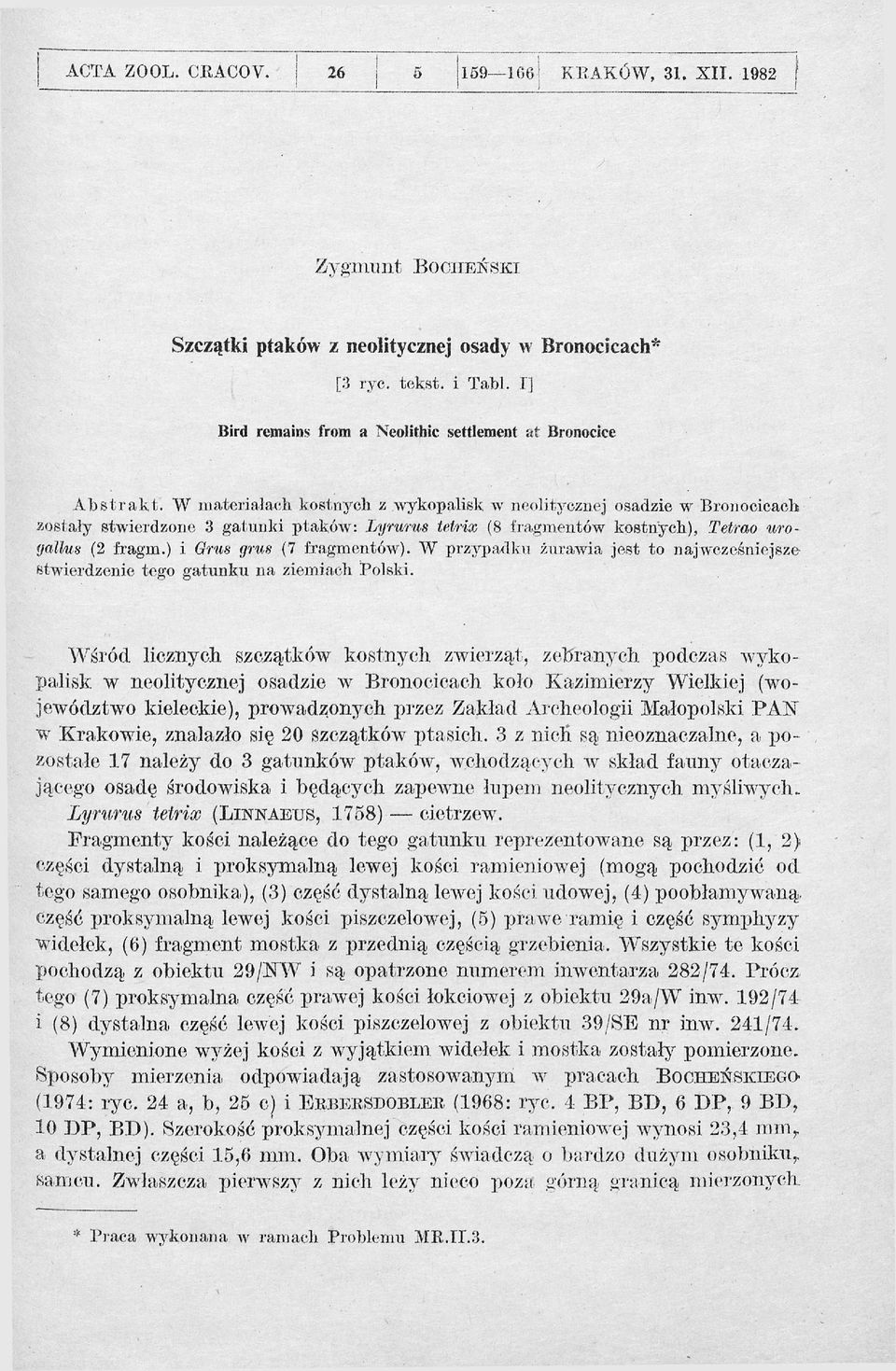 W m ateriałach kostnych z wykopalisk w neolitycznej osadzie w Bronocicach zostały stwierdzone 3 gatunki ptaków : Lyrurus tetrix (8 fragmentów kostnych), Tetrao uroyallus (2 fragm.