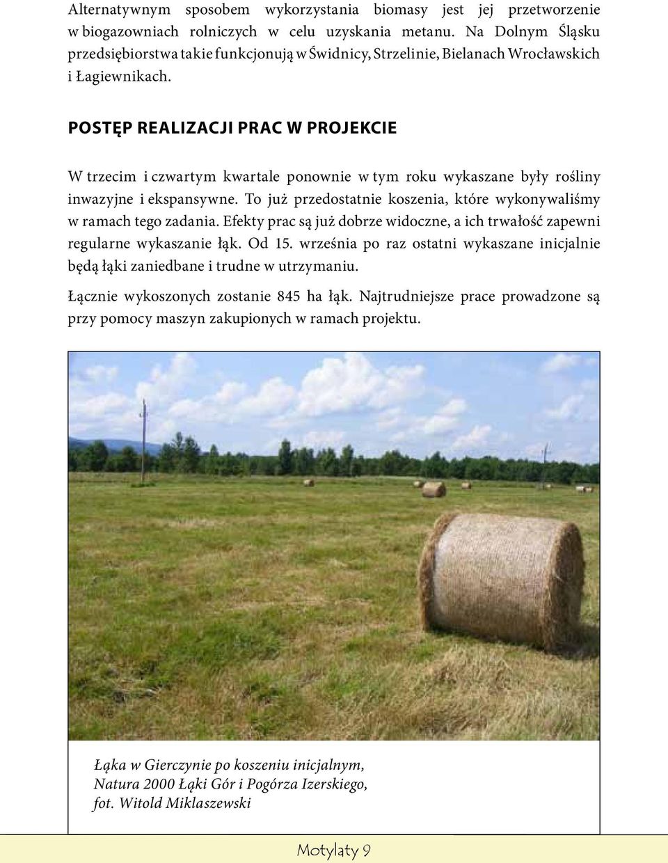Postęp realizacji prac w projekcie W trzecim i czwartym kwartale ponownie w tym roku wykaszane były rośliny inwazyjne i ekspansywne.