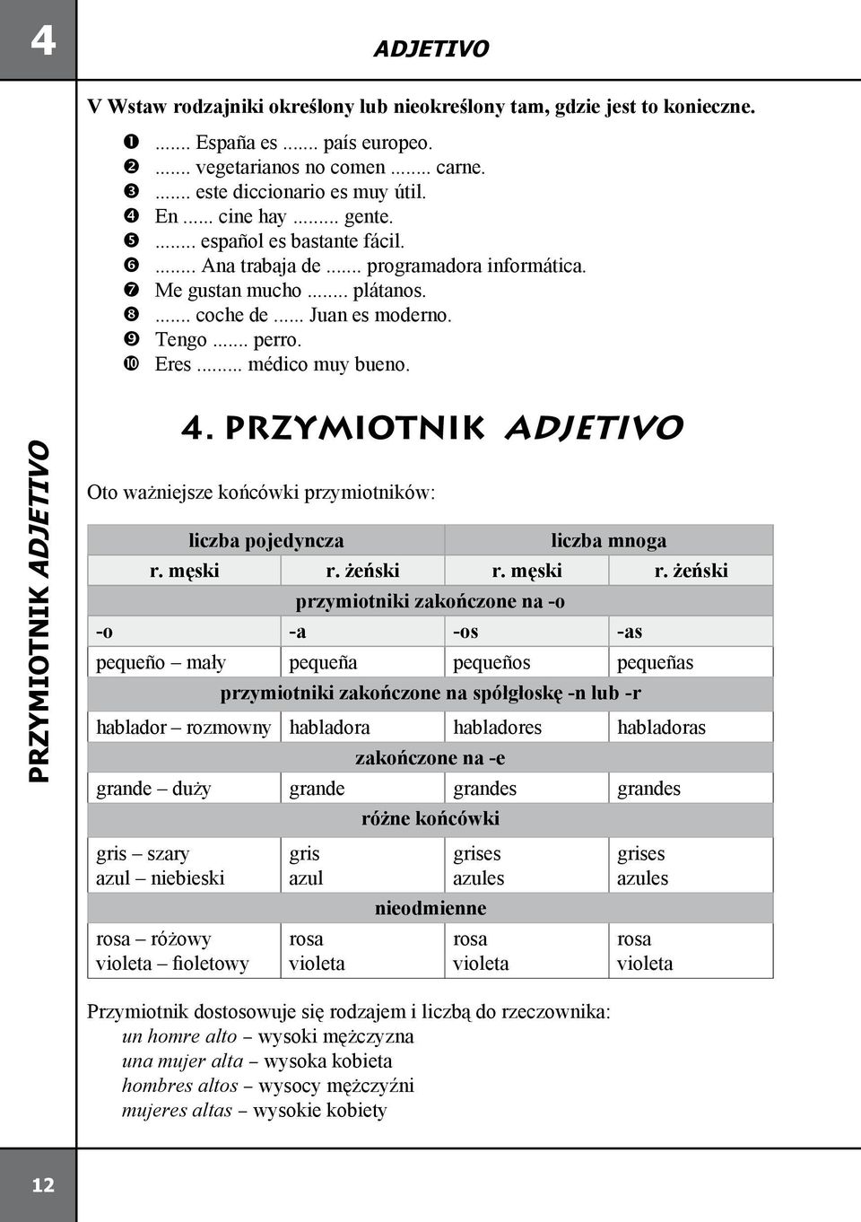 PRZYMIOTNIK ADJETIVO 4. PRZYMIOTNIK ADJETIVO Oto ważniejsze końcówki przymiotników: liczba pojedyncza liczba mnoga r. męski r.