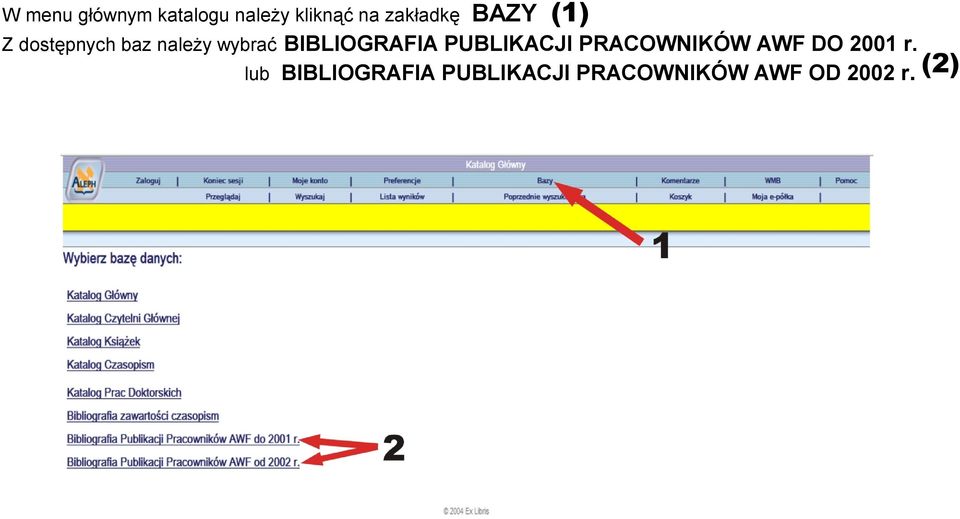 BIBLIOGRAFIA PUBLIKACJI PRACOWNIKÓW AWF DO 00 r.