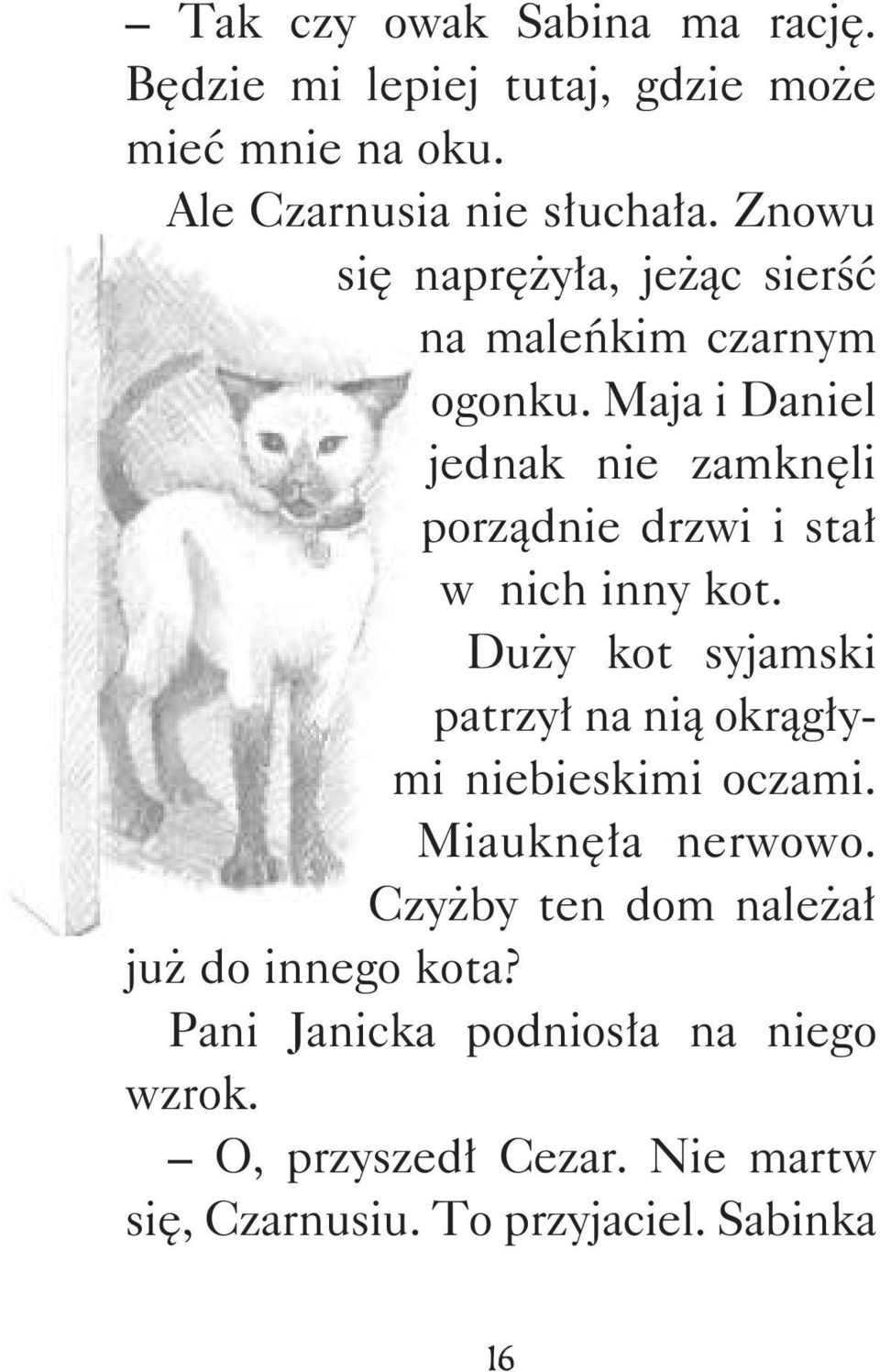 Maja i Daniel jednak nie zamknęli porządnie drzwi i stał w nich inny kot.