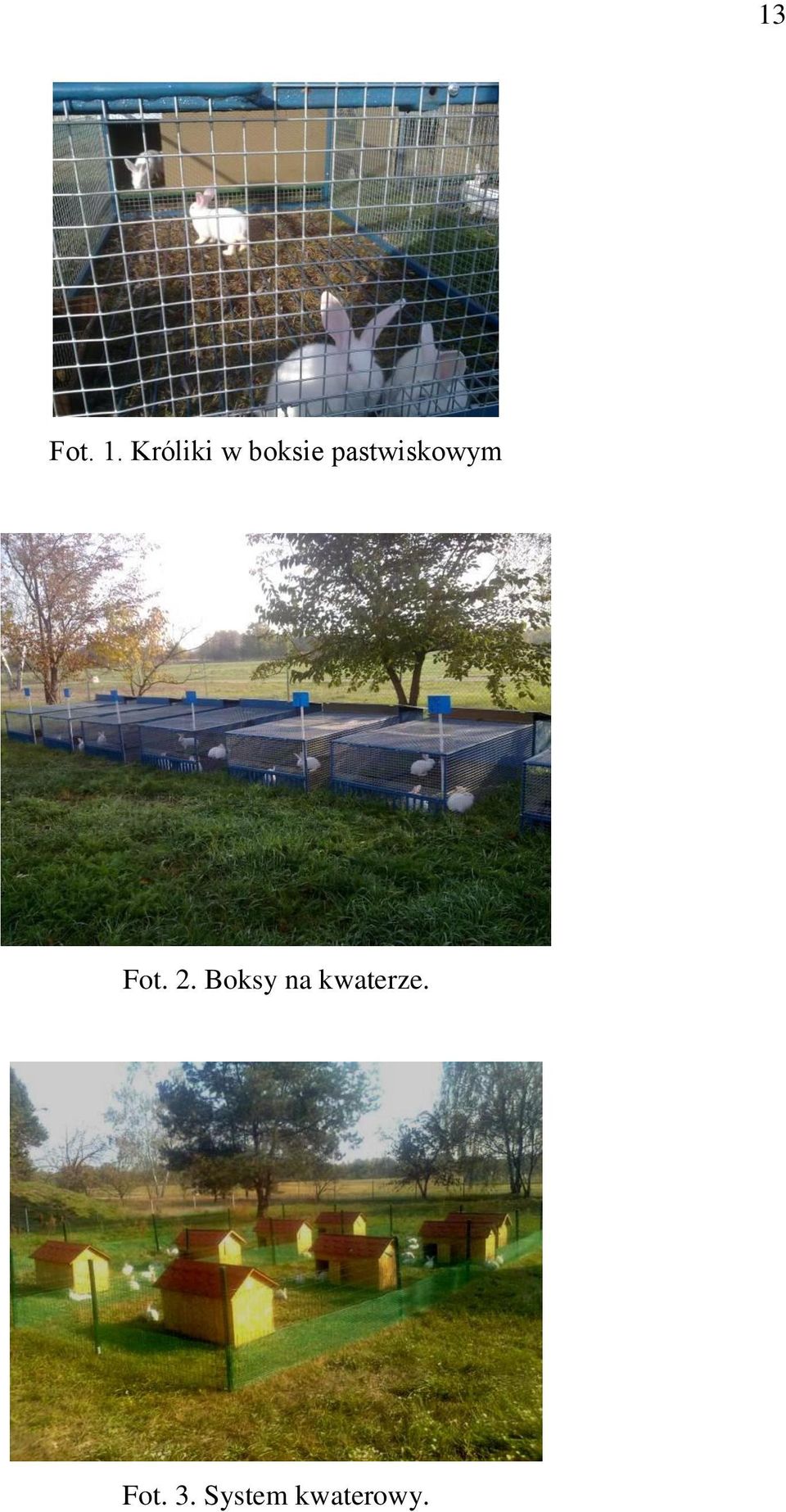 pastwiskowym Fot. 2.