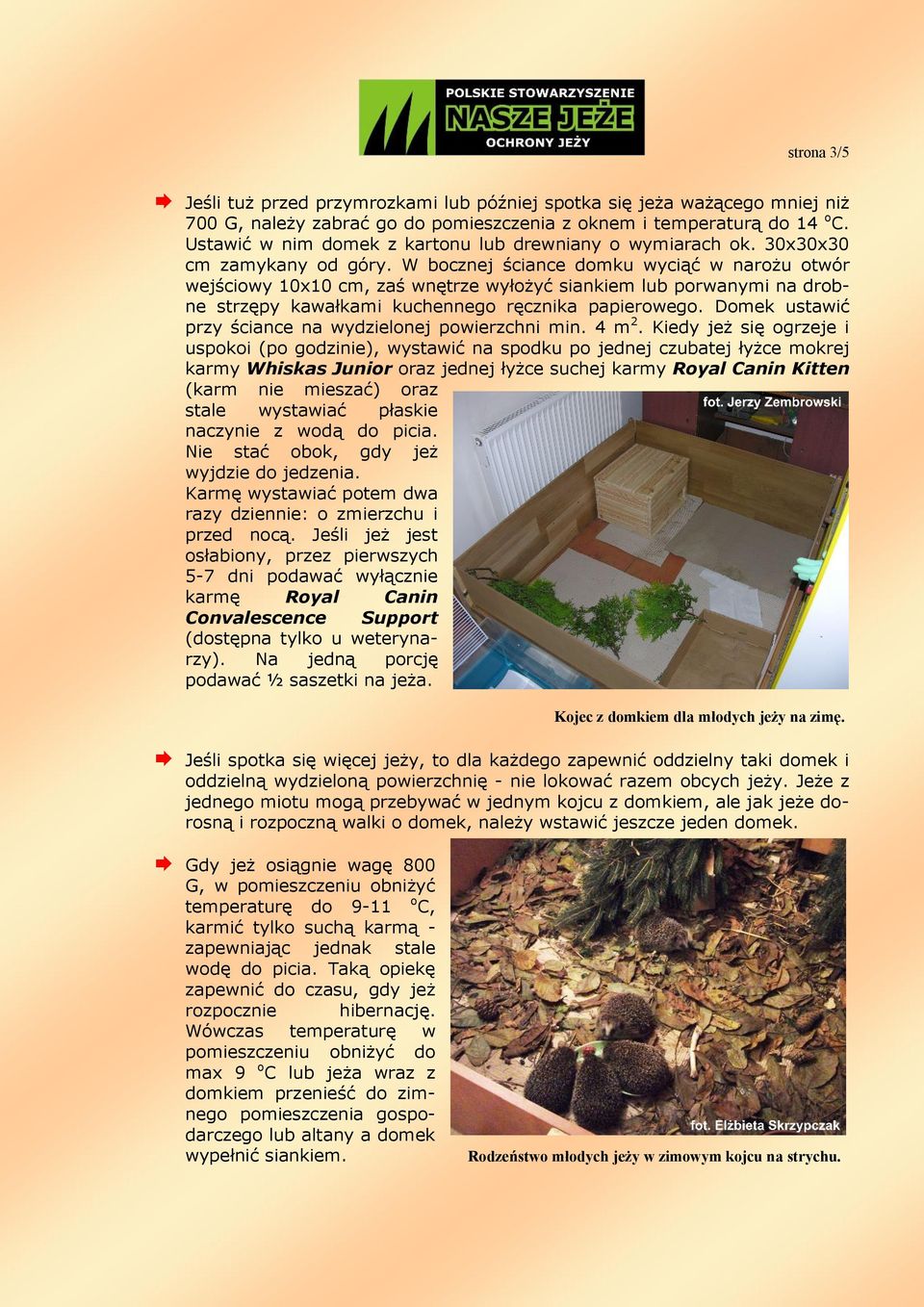 W bocznej ściance domku wyciąć w narożu otwór wejściowy 10x10 cm, zaś wnętrze wyłożyć siankiem lub porwanymi na drobne strzępy kawałkami kuchennego ręcznika papierowego.