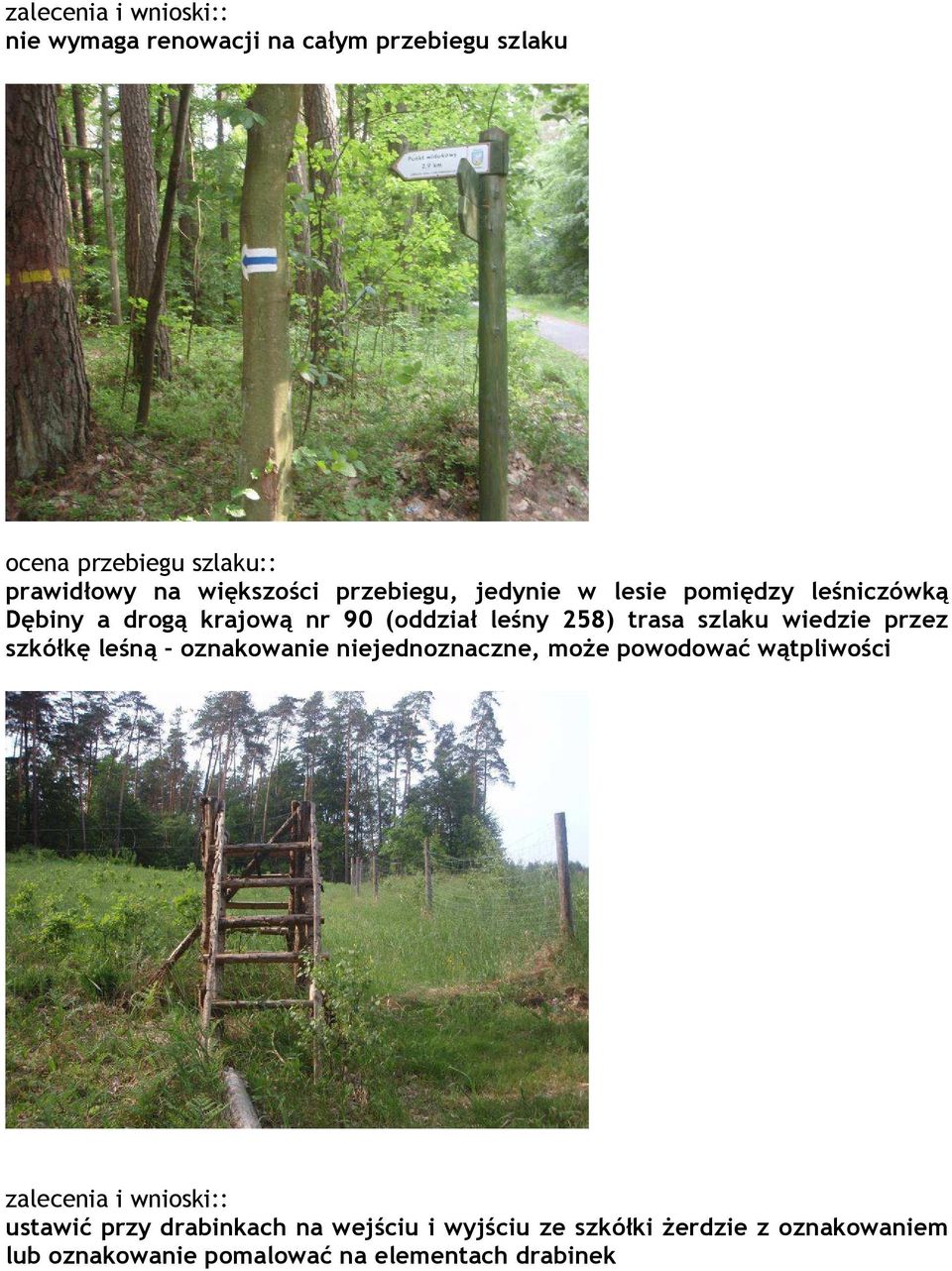 szlaku wiedzie przez szkółkę leśną oznakowanie niejednoznaczne, może powodować wątpliwości zalecenia i wnioski::