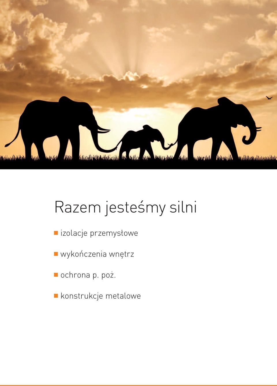 wykończenia wnętrz n ochrona