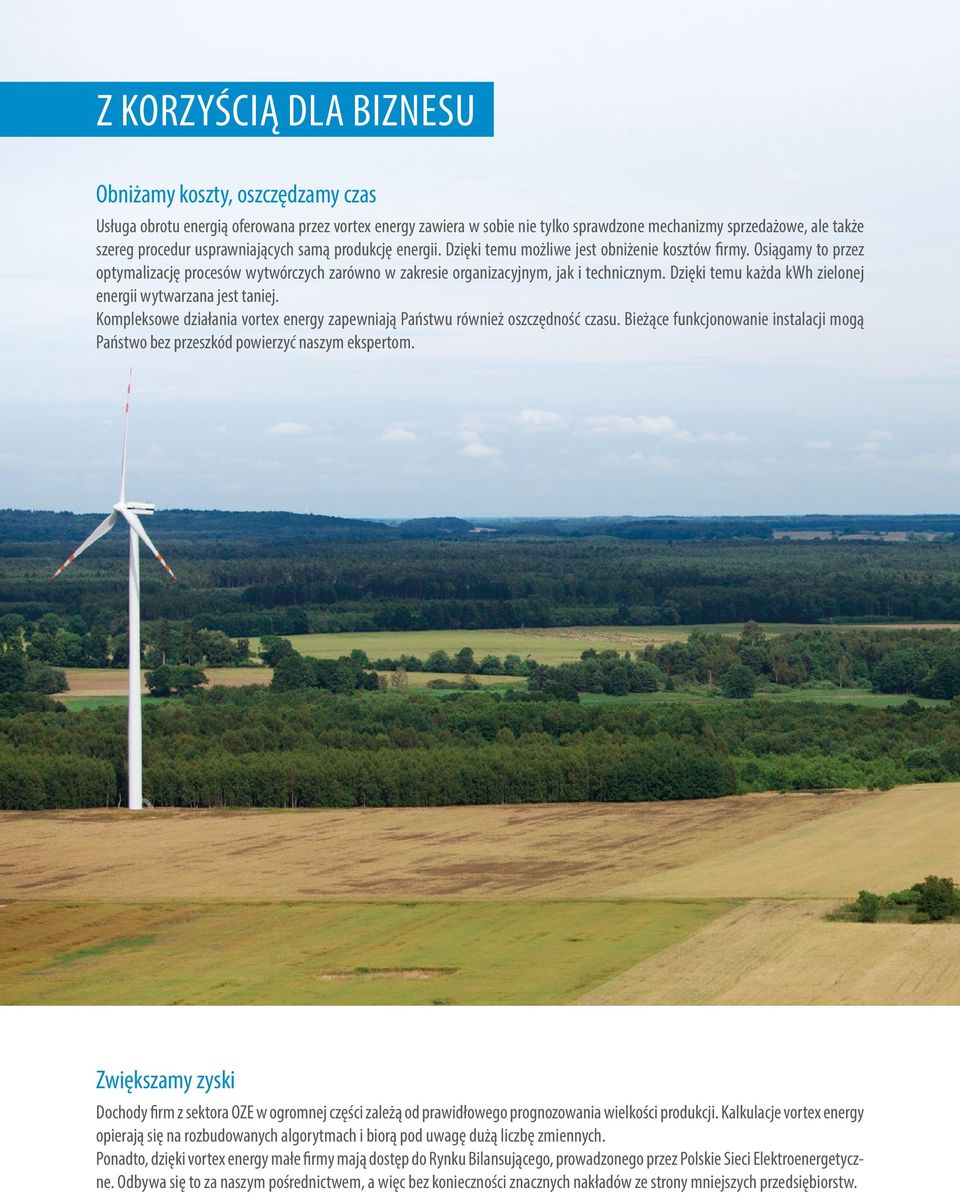 Dzięki temu każda kwh zielonej energii wytwarzana jest taniej. Kompleksowe działania vortex energy zapewniają Państwu również oszczędność czasu.