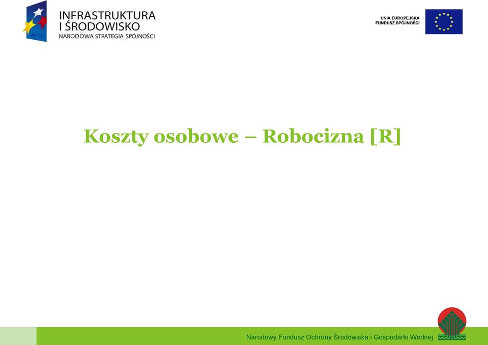 Robocizna