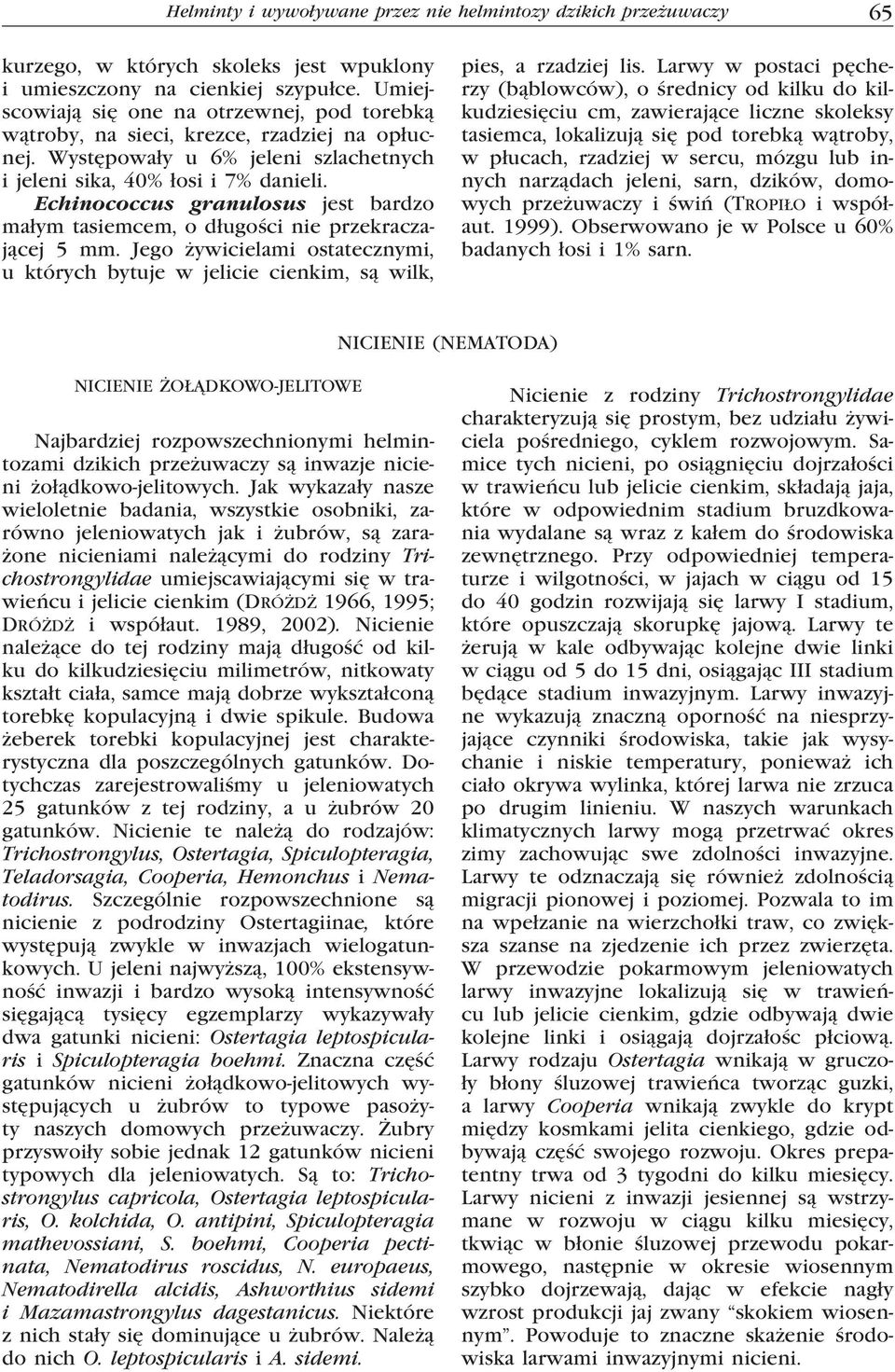 Echinococcus granulosus jest bardzo małym tasiemcem, o długości nie przekraczającej 5 mm. Jego żywicielami ostatecznymi, u których bytuje w jelicie cienkim, są wilk, pies, a rzadziej lis.