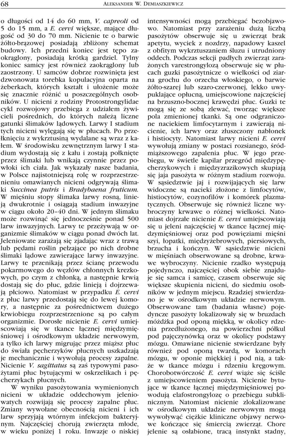 U samców dobrze rozwinięta jest dzwonowata torebka kopulacyjna oparta na żeberkach, których kształt i ułożenie może się znacznie różnić u poszczególnych osobników.