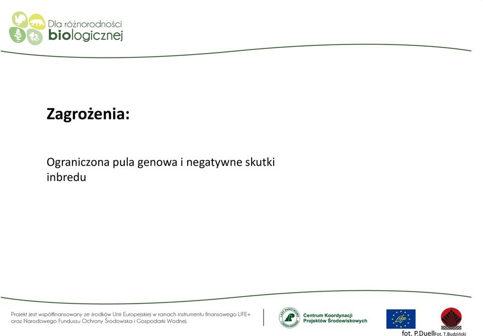 genowa i negatywne