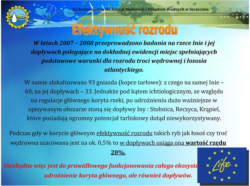 Jednakże pod kątem ichtiologicznym, ze względu na regulacje głównego koryta rzeki, po udrożnieniu dużo ważniejsze w opisywanym obszarze stanąsiędopływy Iny : Stobnica, Reczyca, Krąpiel, które