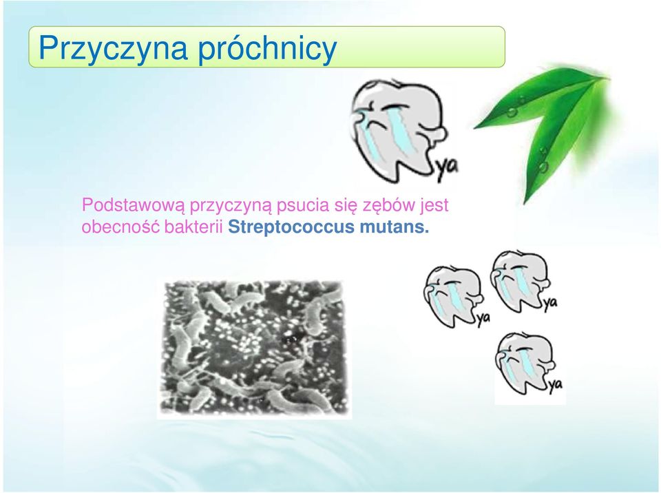 psucia się zębów jest