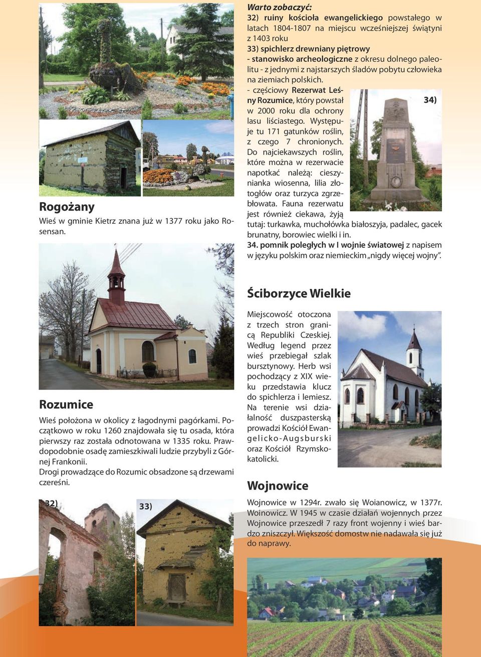 z jednymi z najstarszych śladów pobytu człowieka na ziemiach polskich. - częściowy Rezerwat Leśny Rozumice, który powstał w 2000 roku dla ochrony lasu liściastego.