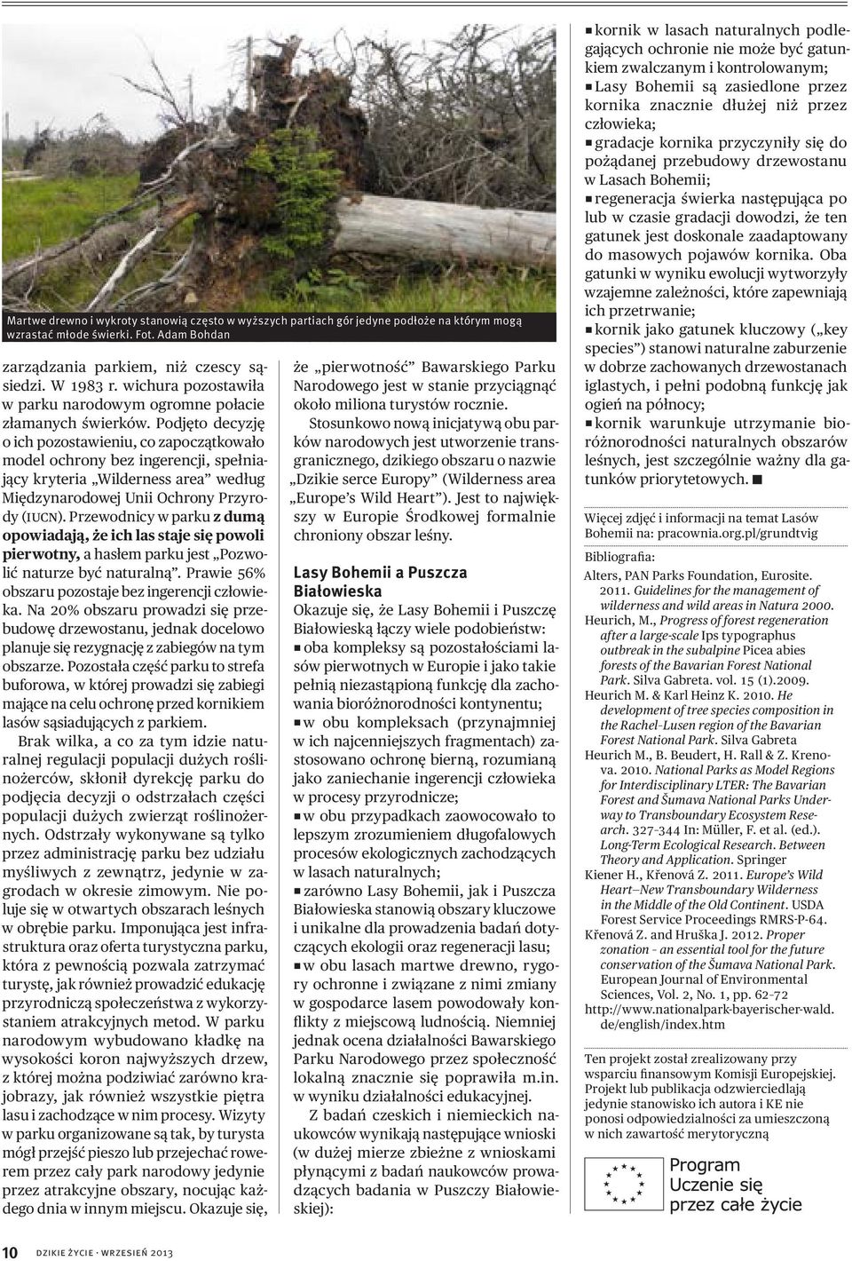 Podjęto decyzję o ich pozostawieniu, co zapoczątkowało model ochrony bez ingerencji, spełniający kryteria Wilderness area według Międzynarodowej Unii Ochrony Przyrody (IUCN).