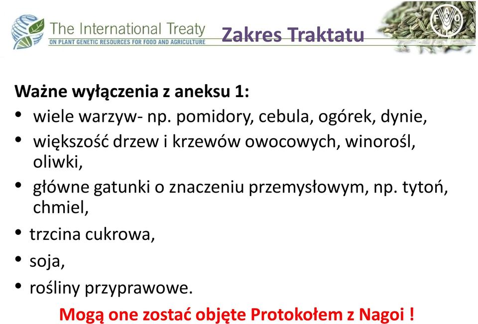 winorośl, oliwki, główne gatunki o znaczeniu przemysłowym, np.